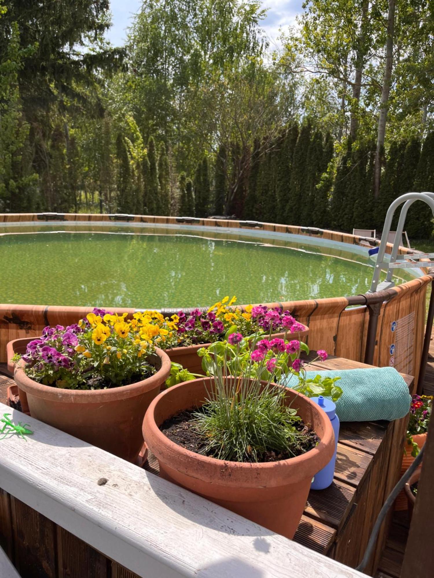 Uroczy Dom Nad Jeziorem Sniardwy Tuz Obok Plazy Nowe Guty Exterior foto